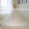 Ball Gown Scoop Neck Court Train Tulle with Sequins Wedding Dresses #PDS00023015