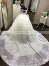 Ball Gown Off-the-shoulder Chapel Train Organza Appliques Lace Wedding Dresses #PDS00023343