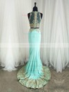 Trumpet/Mermaid Scoop Neck Sweep Train Tulle Appliques Lace Prom Dresses #PDS020105224