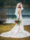 Trumpet/Mermaid V-neck Court Train Tulle Appliques Lace Wedding Dresses #PDS00023726