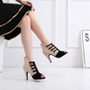 Women's Peep Toe Velvet Zipper Stiletto Heel Dance Shoes #PDS03031315